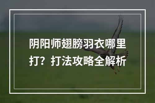 阴阳师翅膀羽衣哪里打？打法攻略全解析