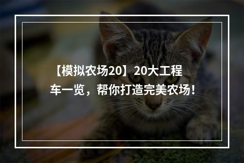 【模拟农场20】20大工程车一览，帮你打造完美农场！