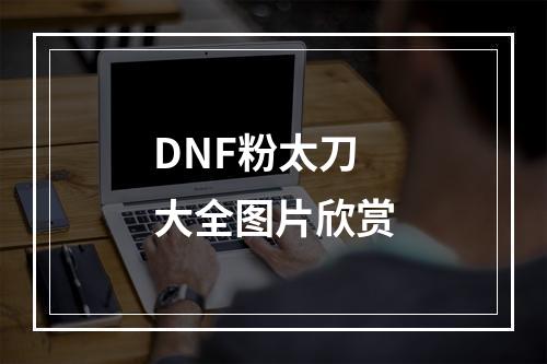 DNF粉太刀大全图片欣赏