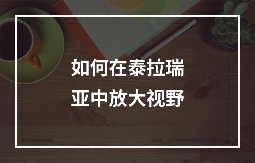 如何在泰拉瑞亚中放大视野