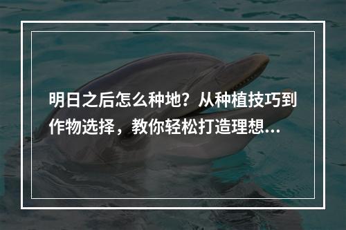 明日之后怎么种地？从种植技巧到作物选择，教你轻松打造理想农场