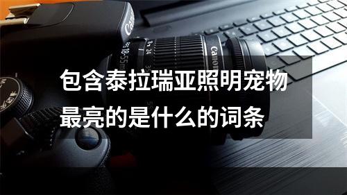 包含泰拉瑞亚照明宠物最亮的是什么的词条