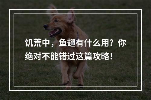 饥荒中，鱼翅有什么用？你绝对不能错过这篇攻略！