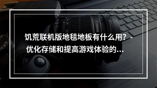 饥荒联机版地毯地板有什么用？- 优化存储和提高游戏体验的好选择