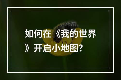 如何在《我的世界》开启小地图？