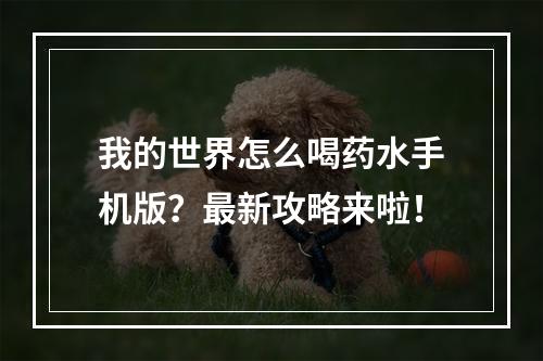 我的世界怎么喝药水手机版？最新攻略来啦！