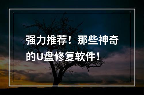 强力推荐！那些神奇的U盘修复软件！