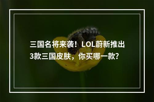 三国名将来袭！LOL蔚新推出3款三国皮肤，你买哪一款？