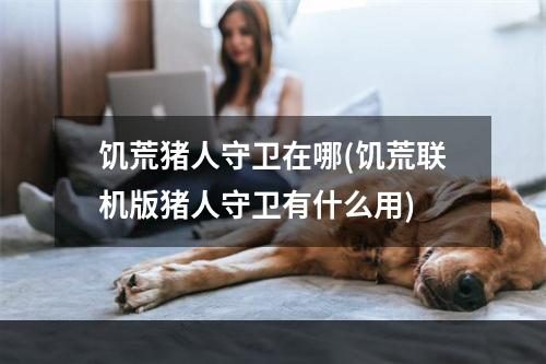 饥荒猪人守卫在哪(饥荒联机版猪人守卫有什么用)