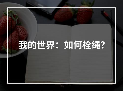 我的世界：如何栓绳？