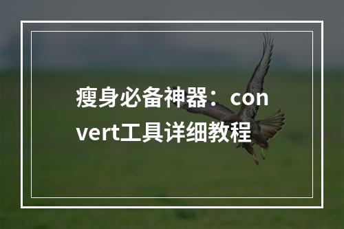 瘦身必备神器：convert工具详细教程