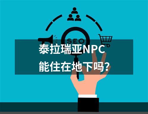 泰拉瑞亚NPC能住在地下吗？