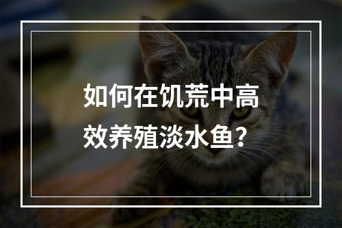 如何在饥荒中高效养殖淡水鱼？