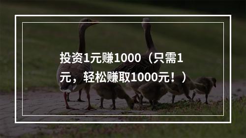 投资1元赚1000（只需1元，轻松赚取1000元！）