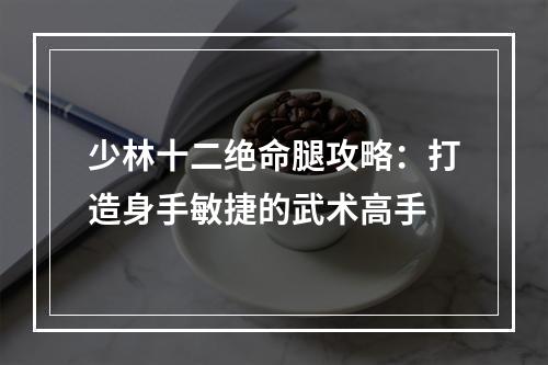 少林十二绝命腿攻略：打造身手敏捷的武术高手