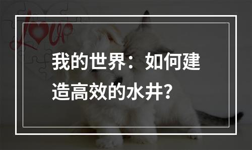 我的世界：如何建造高效的水井？