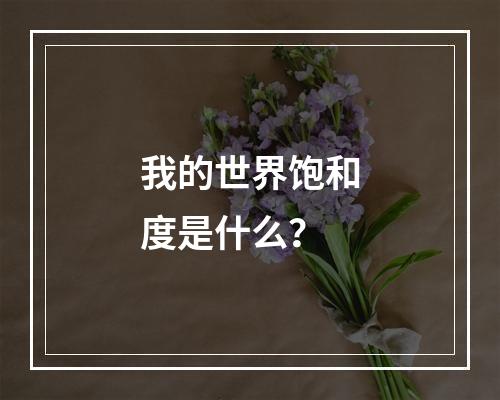 我的世界饱和度是什么？