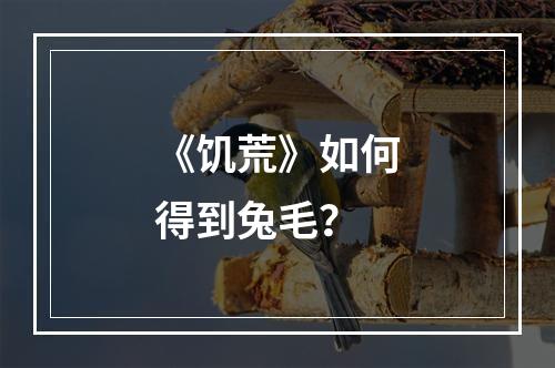 《饥荒》如何得到兔毛？