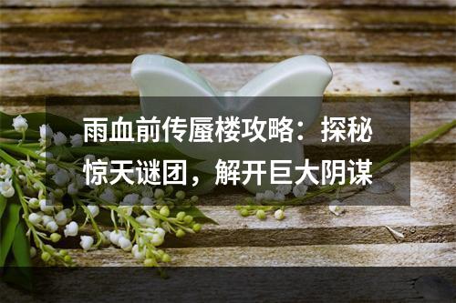 雨血前传蜃楼攻略：探秘惊天谜团，解开巨大阴谋