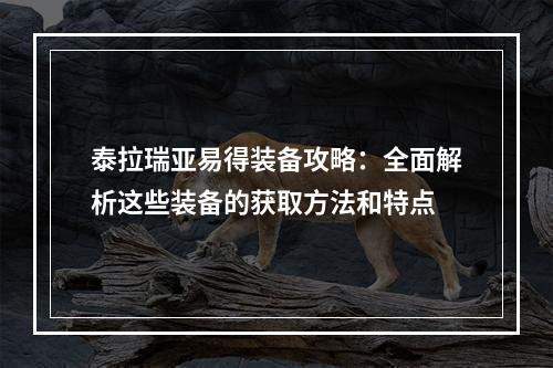 泰拉瑞亚易得装备攻略：全面解析这些装备的获取方法和特点