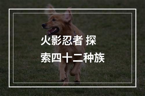 火影忍者 探索四十二种族