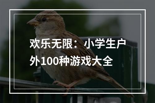 欢乐无限：小学生户外100种游戏大全