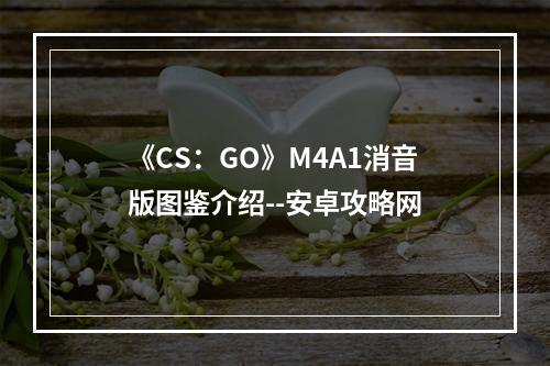 《CS：GO》M4A1消音版图鉴介绍--安卓攻略网