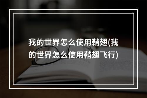 我的世界怎么使用鞘翅(我的世界怎么使用鞘翅飞行)