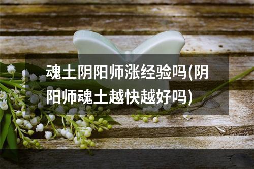 魂土阴阳师涨经验吗(阴阳师魂土越快越好吗)