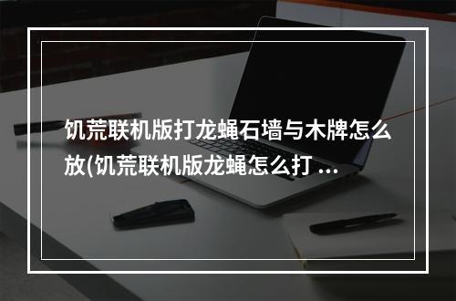 饥荒联机版打龙蝇石墙与木牌怎么放(饥荒联机版龙蝇怎么打 三种方法打龙蝇)