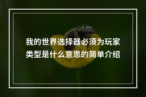 我的世界选择器必须为玩家类型是什么意思的简单介绍