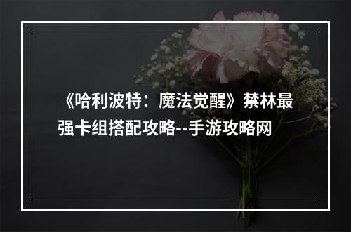 《哈利波特：魔法觉醒》禁林最强卡组搭配攻略--手游攻略网