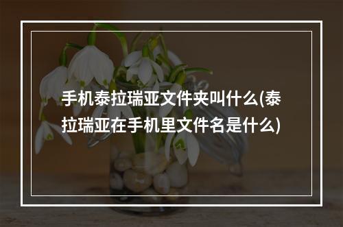 手机泰拉瑞亚文件夹叫什么(泰拉瑞亚在手机里文件名是什么)