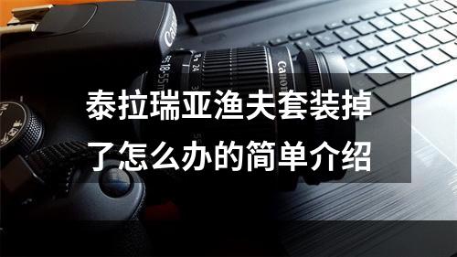 泰拉瑞亚渔夫套装掉了怎么办的简单介绍