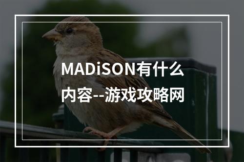 MADiSON有什么内容--游戏攻略网