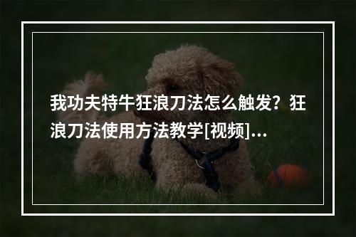 我功夫特牛狂浪刀法怎么触发？狂浪刀法使用方法教学[视频][多图]--安卓攻略网