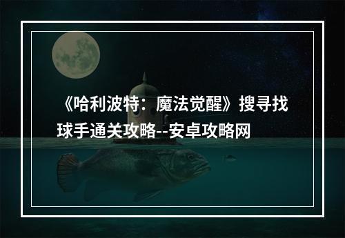 《哈利波特：魔法觉醒》搜寻找球手通关攻略--安卓攻略网