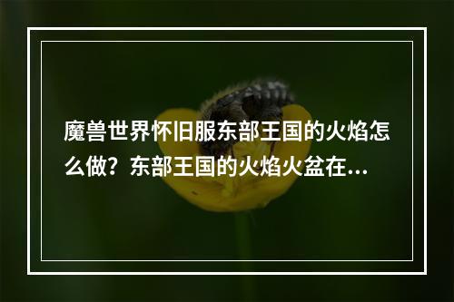 魔兽世界怀旧服东部王国的火焰怎么做？东部王国的火焰火盆在哪？--游戏攻略网