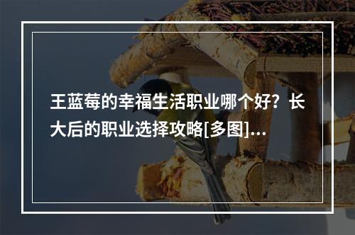 王蓝莓的幸福生活职业哪个好？长大后的职业选择攻略[多图]--手游攻略网