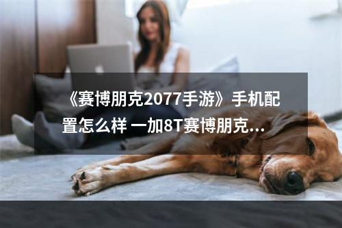 《赛博朋克2077手游》手机配置怎么样 一加8T赛博朋克2077限定版配置介绍--手游攻略网