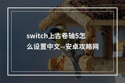 switch上古卷轴5怎么设置中文--安卓攻略网