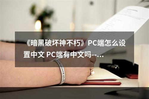 《暗黑破坏神不朽》PC端怎么设置中文 PC端有中文吗--游戏攻略网