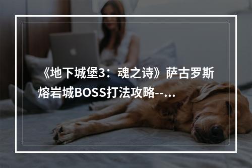 《地下城堡3：魂之诗》萨古罗斯熔岩城BOSS打法攻略--游戏攻略网