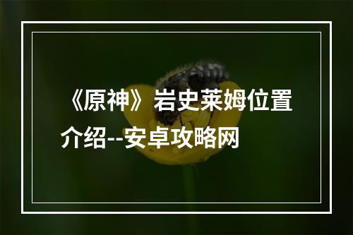 《原神》岩史莱姆位置介绍--安卓攻略网