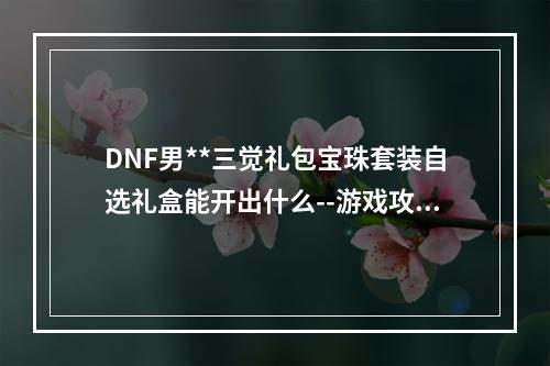 DNF男**三觉礼包宝珠套装自选礼盒能开出什么--游戏攻略网