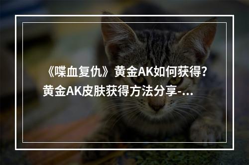 《喋血复仇》黄金AK如何获得？黄金AK皮肤获得方法分享--游戏攻略网