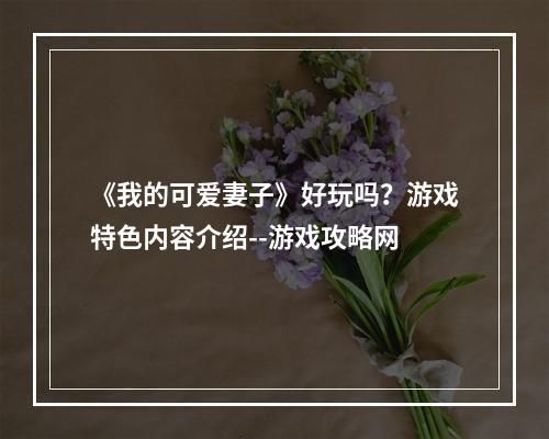 《我的可爱妻子》好玩吗？游戏特色内容介绍--游戏攻略网