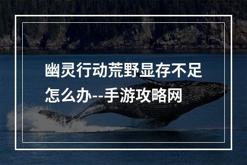 幽灵行动荒野显存不足怎么办--手游攻略网