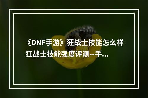 《DNF手游》狂战士技能怎么样 狂战士技能强度评测--手游攻略网