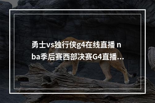 勇士vs独行侠g4在线直播 nba季后赛西部决赛G4直播地址--安卓攻略网